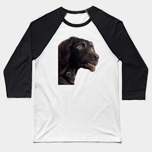 Confused Dogs Shirt, Awkward Dogs, Awkward Staring, Two Dogs Staring Matching Baseball T-Shirt